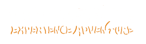 TEQ Customs logo
